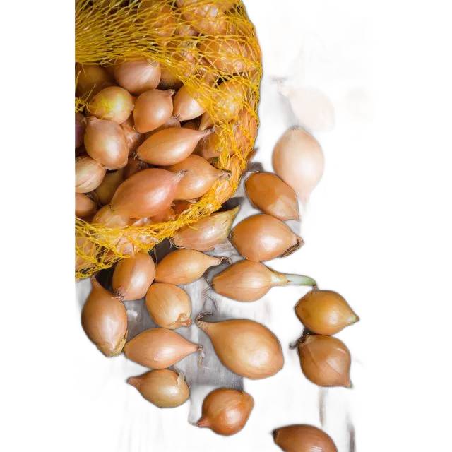 LEGUTKO CEBULKI W SIATCE CEBULA DYMKA STURON 250G